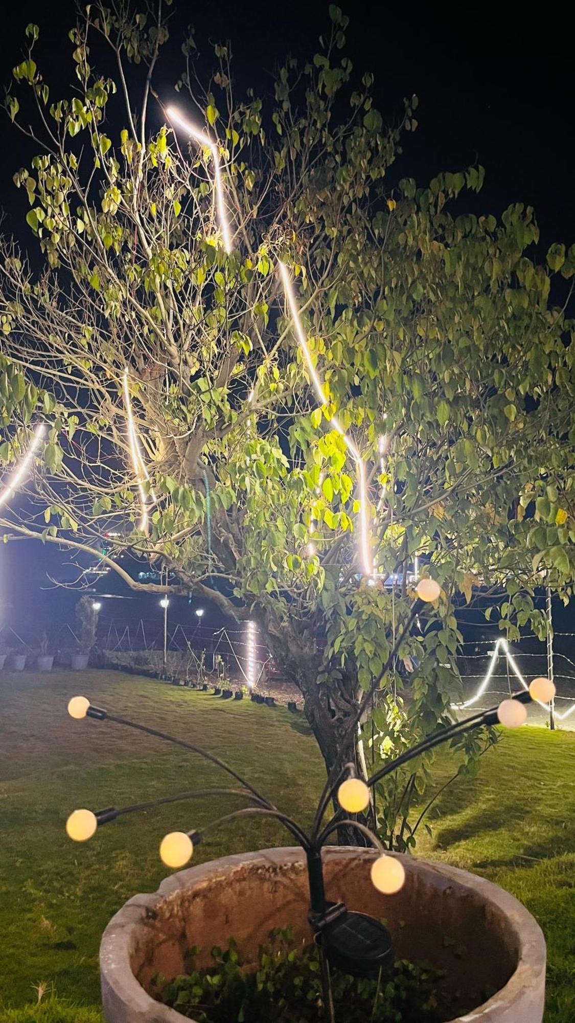 Aroma Resort רישיקש מראה חיצוני תמונה